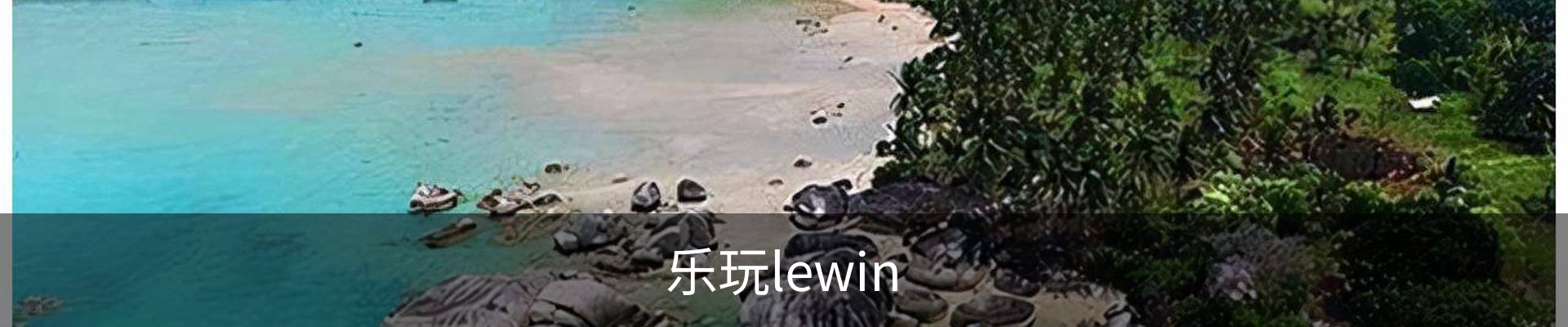 乐玩lewin
